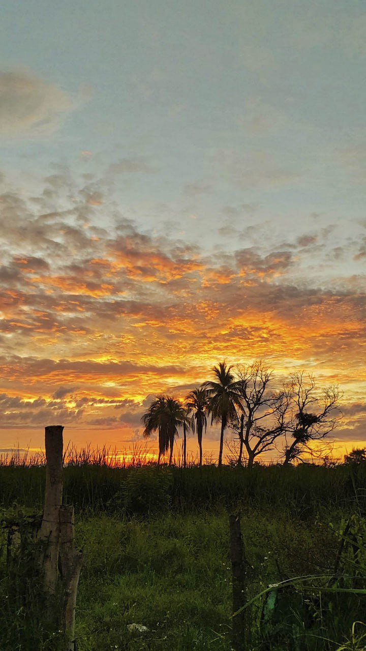 Atardecer en San Isidro